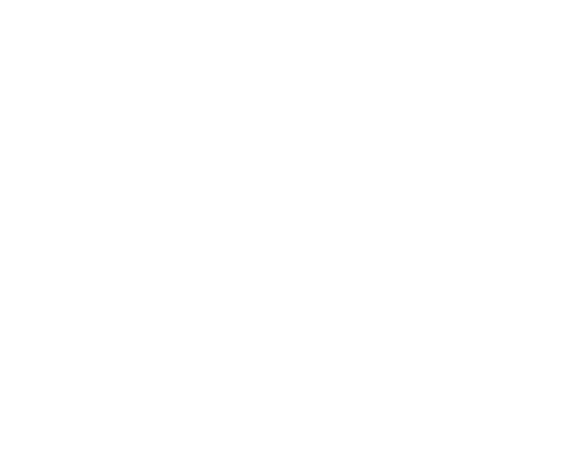 logo light